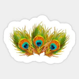 Peacock Feathers Sticker